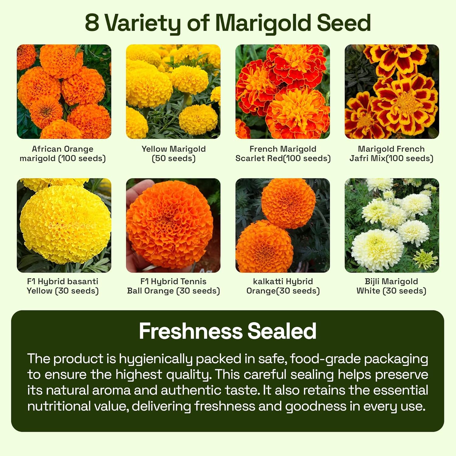 8 Variety Mix Marigold Seeds – 470 Count (8 Variety Mix) – Vibrant Garden Flower Seeds for Home, Balcony & Outdoor Planting