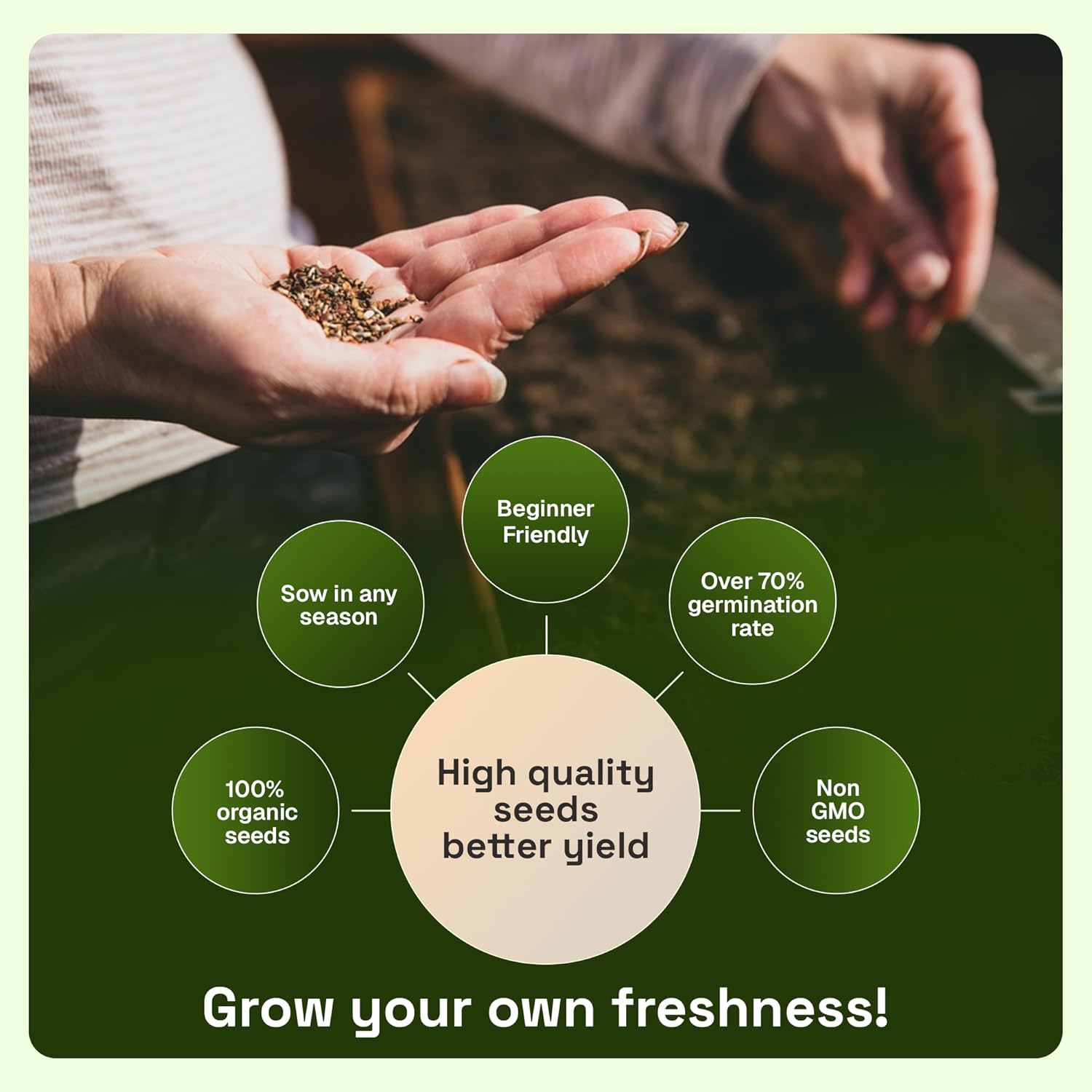 Sunflower Seeds – 200 Count Pack – Easy-to-Grow Full Sun Garden Seeds – Ideal for Spring Planting – Vibrant Tall Sunflowers for Home Gardens and Outdoor Spaces