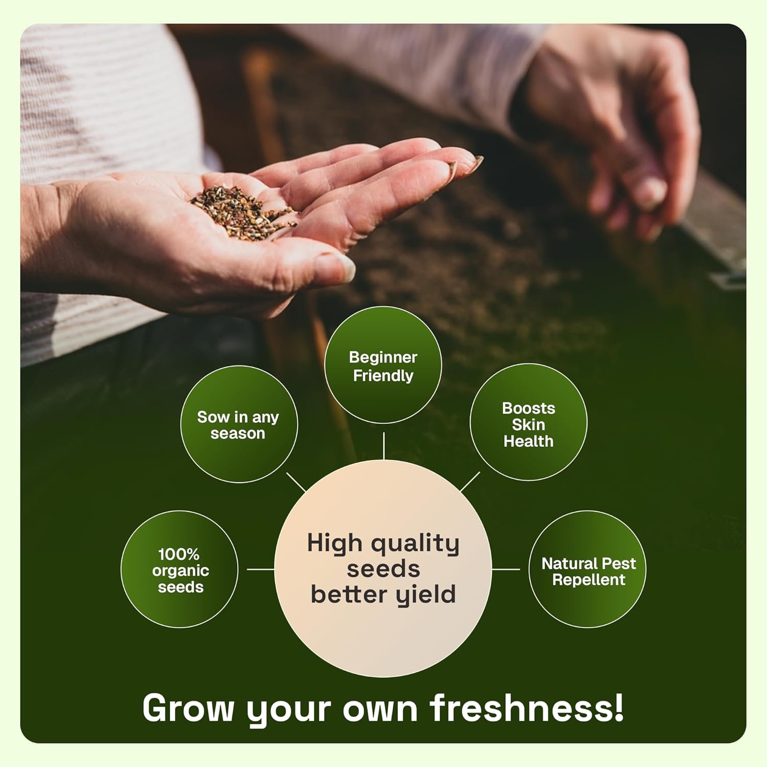 8 Variety Mix Marigold Seeds – 470 Count (8 Variety Mix) – Vibrant Garden Flower Seeds for Home, Balcony & Outdoor Planting