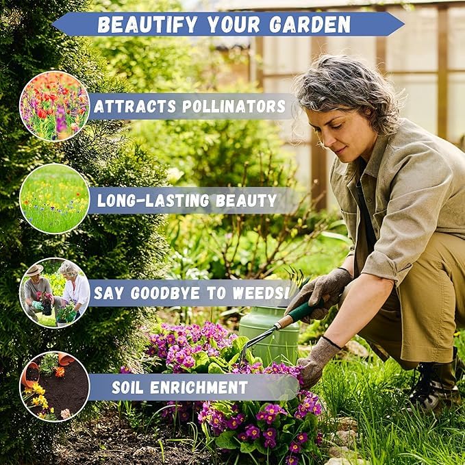 100+ Hybrid Rose Seeds (Hybridization Mix) | Easy to Grow in All-Season, Fragrant Flowers for Home Garden (WHITE YELLOW BLACK)