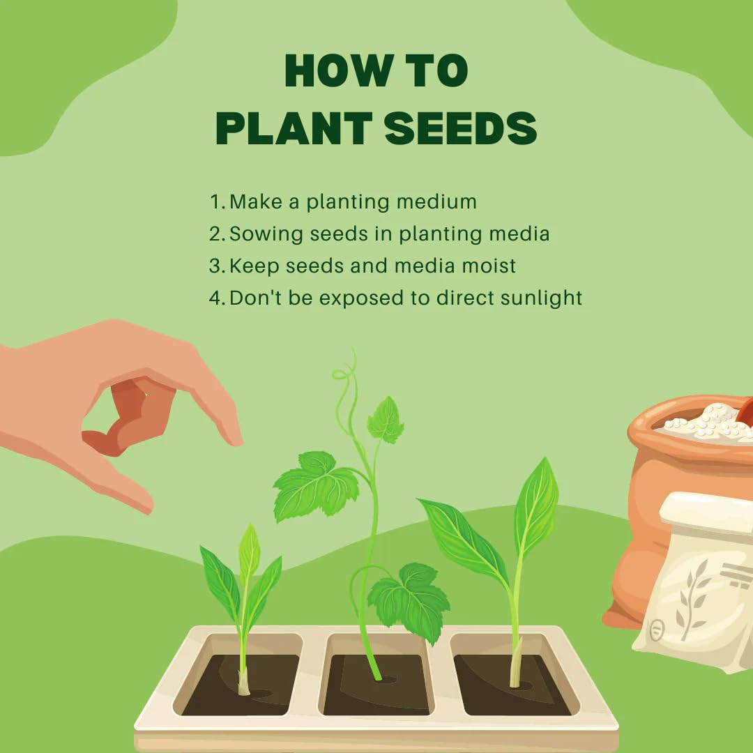 Low Maintenance Hybrid Flower Seeds Combo Pack- All Year Flower Seeds Supply (4 VARIETIES SUNFLOWER COMBO)