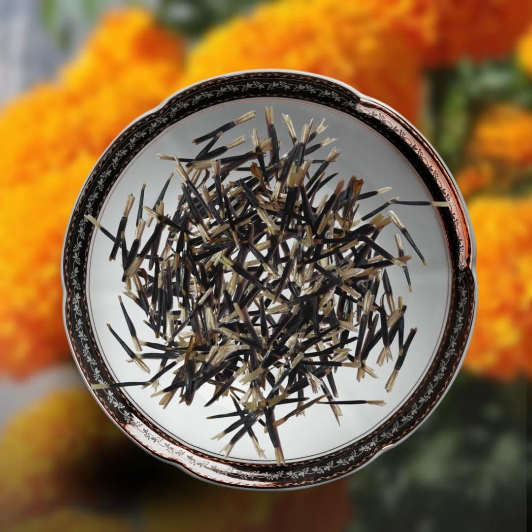 African Marigold Flower Seeds – (100 Seeds Par Packet) – Bright Orange Blossoms for Home Garden